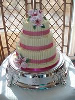 Cake WCC005