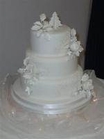 Cake WCD092